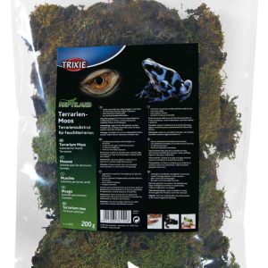 Terrarium Moss