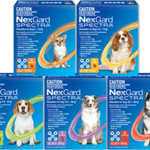 Nexgard Spectra