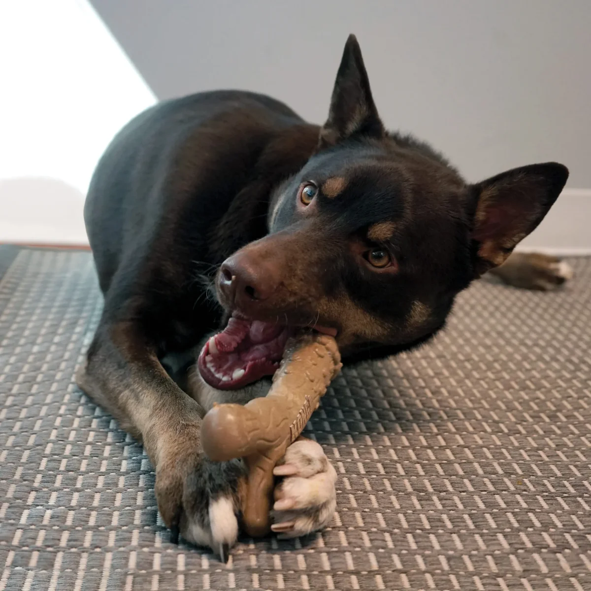 ChewStix – Tough Femur - Bild 3