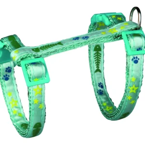 Cat Harness with Leash, Nylon