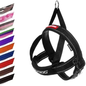 EzyDog Quick-Fit Harness