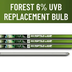 Arcadia ProT5 6% UVB D3 Forest Replacement Bulb