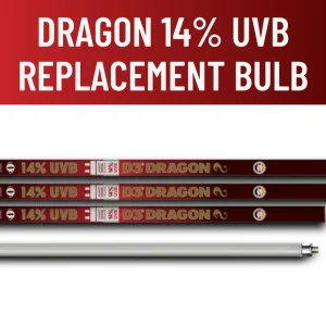 Arcadia ProT5 14% UVB D3 Dragon Replacement Bulb