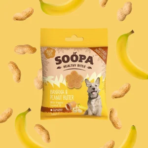 Healthy Bites Banana & Peanut Butter