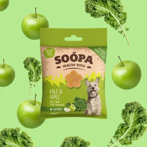 Healthy Bites Kale & Apple