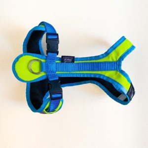 ZeroDC Harness Short Neon Burst