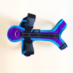 ZeroDC Harness Short Purple Sky