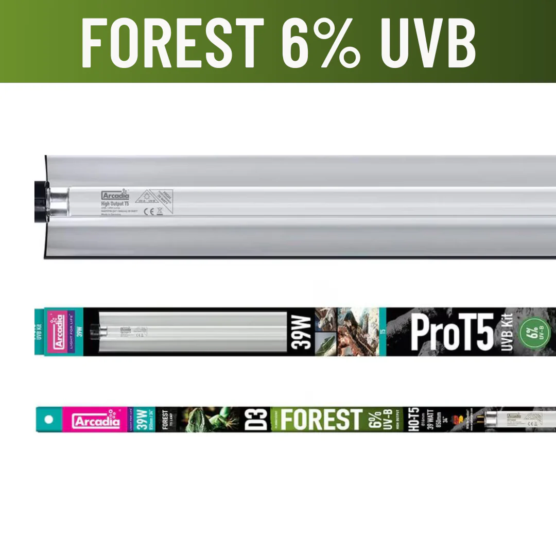 Arcadia 6% UVB D3 Forest Lighting (CPU) - Bild 4