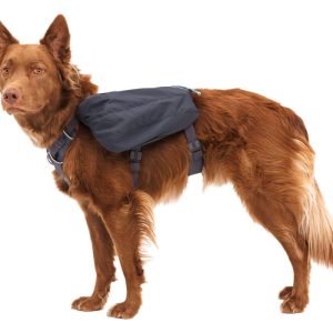 New Design: Front Range™ Day Pack