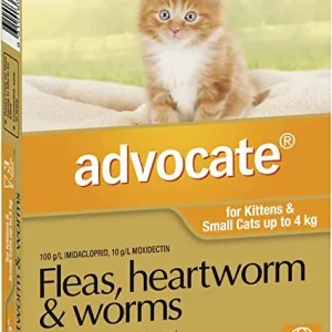 Advocate – Cat