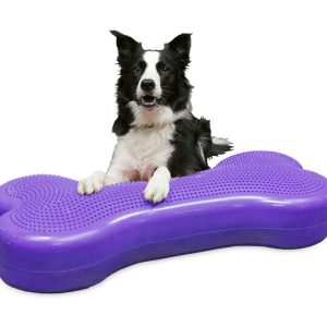 FitPAWS® Giant K9FITbone™