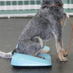 FitPAWS® Ramp