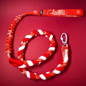 Team Austria Braided Leash