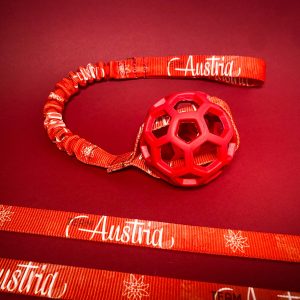 Team Austria Tuggy Basic & Hol-EE-Roller