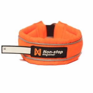 Safe Collar