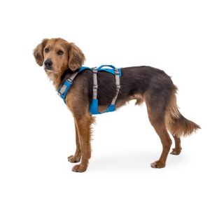 Flagline Harness