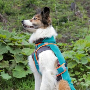 ZeroDC Harness Pomppa Edition