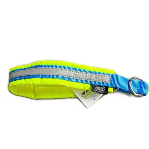 Collar Blizzard Spring Edition